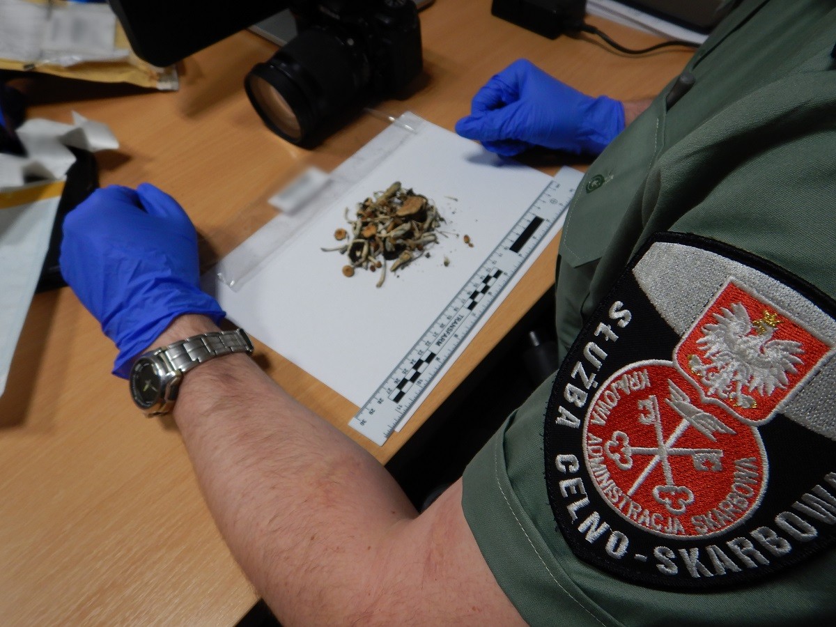 20240319_ciekawostki_lutowe (2).JPG