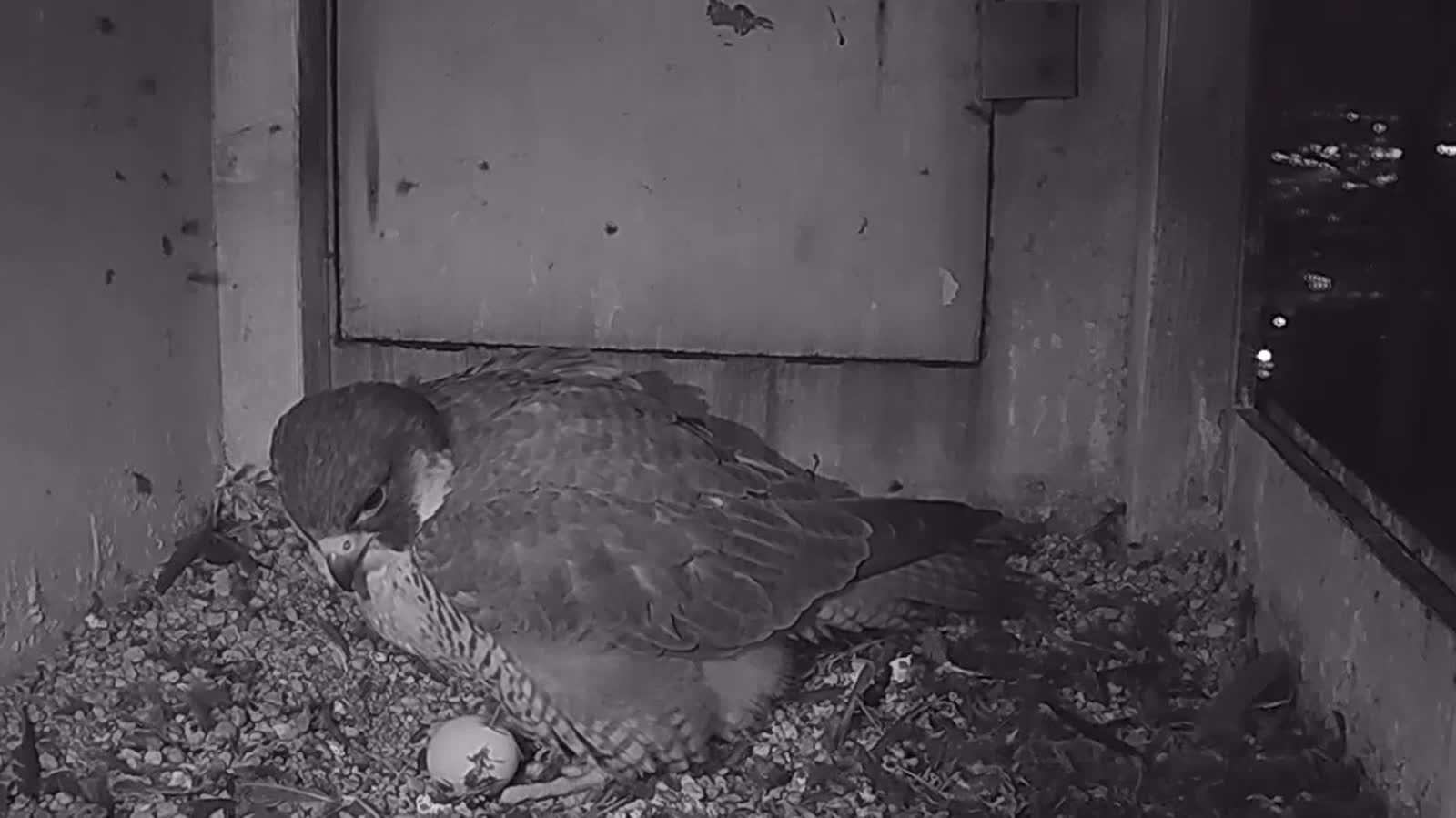 Zrzut ekranu (117).png