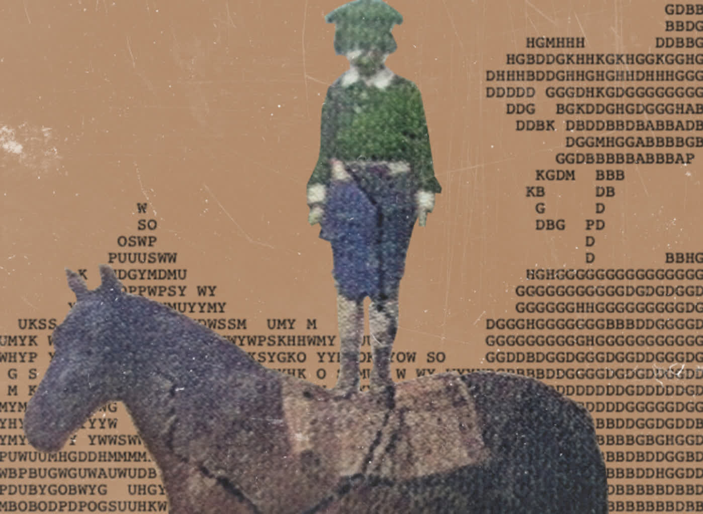 zdj.png